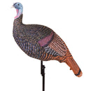 Shady Baby Upright Hen