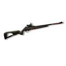 Winchester Wildcat Combo with Reflex Sight .22LR