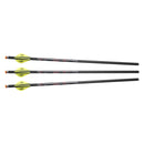 Excalibur - QUILL™ 16.5″ ILLUMINATED CARBON ARROWS – 3 PACK